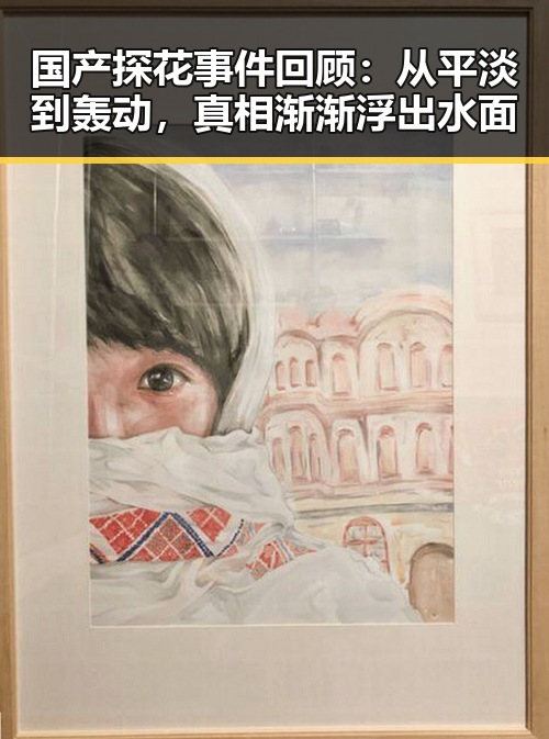 国产探花事件回顾：从平淡到轰动，真相渐渐浮出水面